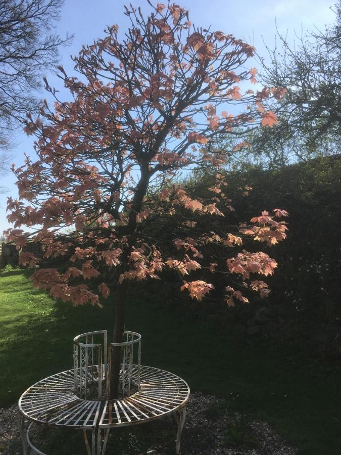 Littlebank Country House Settle Esterno foto