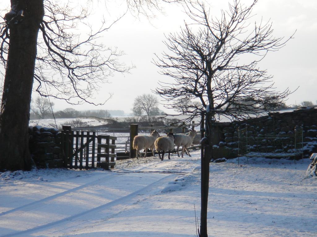 Littlebank Country House Settle Esterno foto