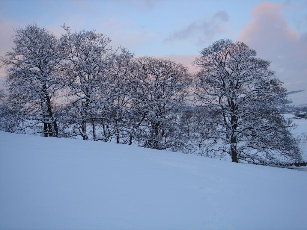 Littlebank Country House Settle Esterno foto
