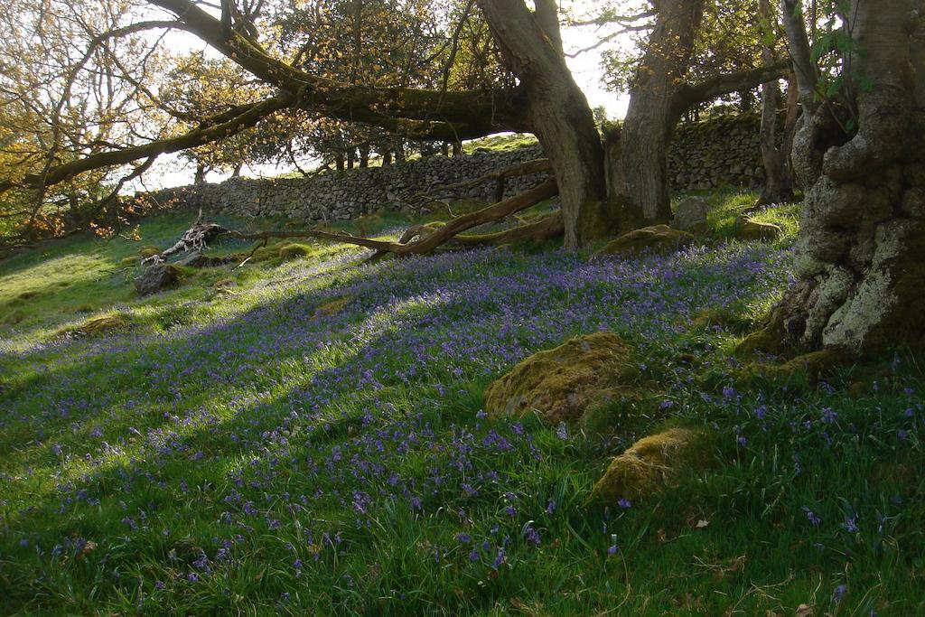Littlebank Country House Settle Esterno foto